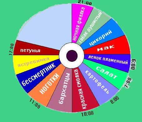 Цветочные часы - Часовой форум Watch.ru