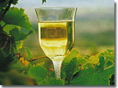 Как дегустировать вино? Часть 2