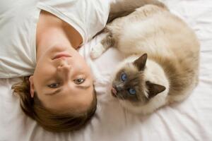 Вы знакомы с кошачьими ритуалами? Утренняя прелюдия
