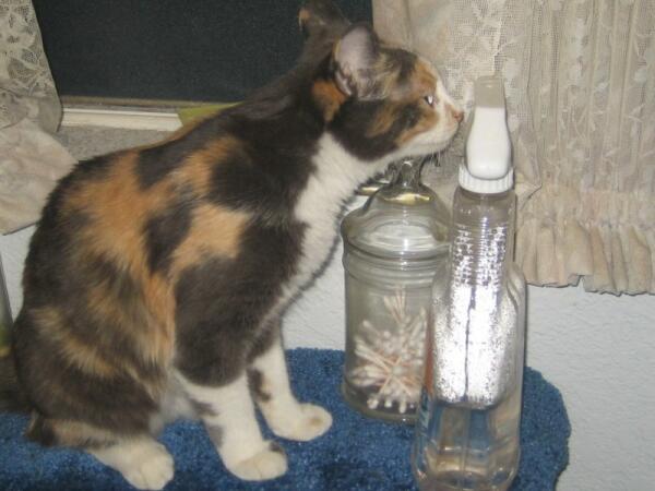 Соня очень любопытна: а что в этой бутылочке?
