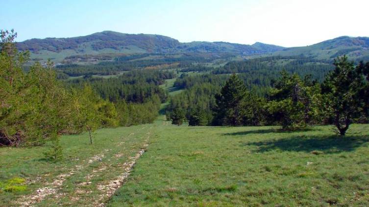 Котловина Беш-Текне