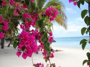 В каких экзотических местах стоит побывать? Часть 1