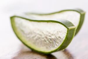 Как создать эффективную и гармоничную систему питания? Часть 1