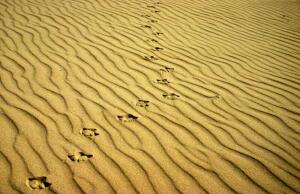 Кошерно - это вкусно?