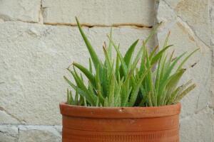 Как бороться с целлюлитом и лишним весом в домашних условиях?