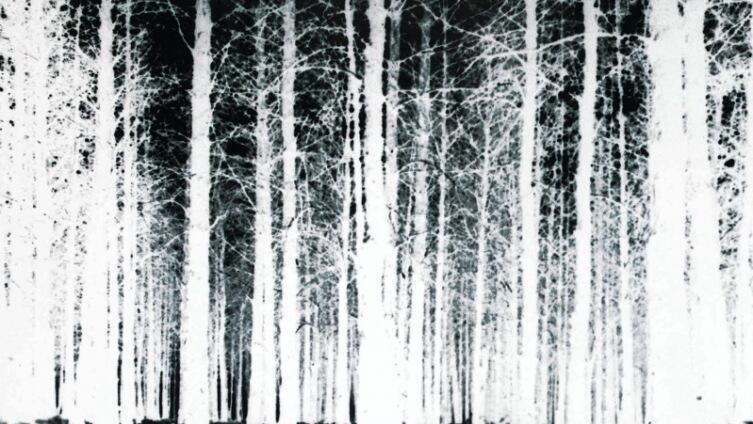 «Ведьма из Блэр»