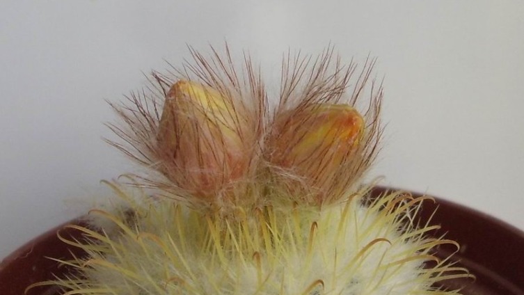 Пробуждение... 