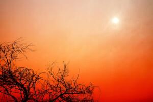 Магнитные бури: что это за напасть и как ее пережить?