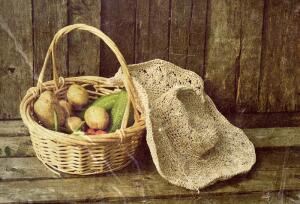 Что за овощ томатофель?