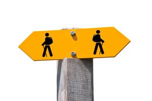 Бифуркация, или Что такое «Правило нужного момента»?