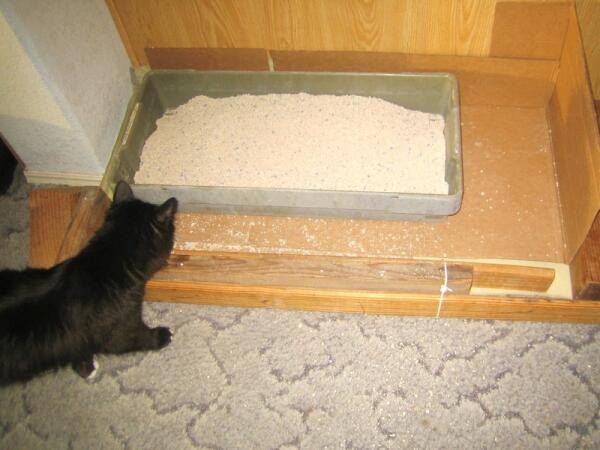 Такс навел идеальный порядок в туалете