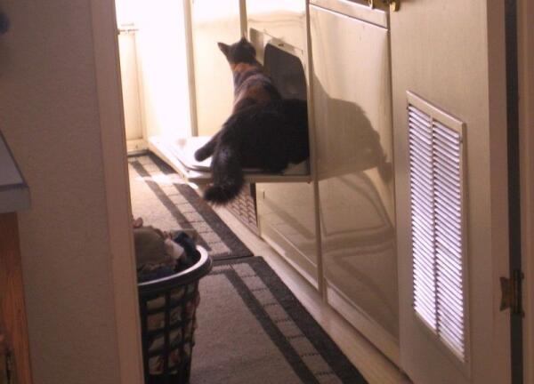 Самое время посмотреть, а что внутри 