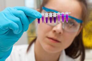 Зачем окрашивают ткани… человека? Гистохимия и цитохимия