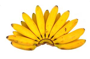На чём растут бананы?