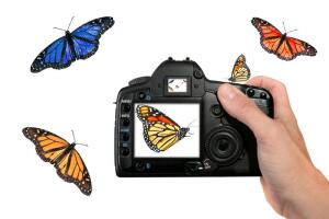 Все профессии нужны, все профессии важны. Как добиться успеха?