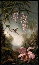 Orchideen, Passionsblumen und Kolibris