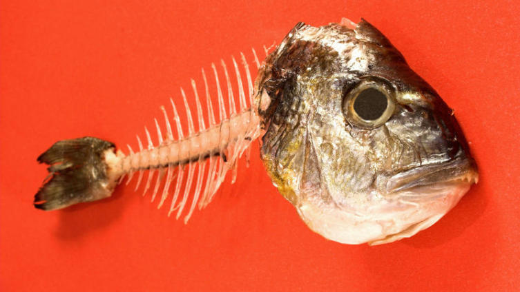Как вытащить рыбью кость из горла?