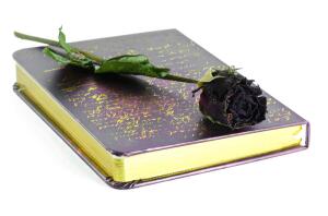 Анна Ахматова. Поэзия – тернистый путь служенья людям?