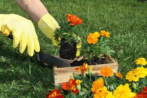 Как очистить руки и ногти после работы в саду?