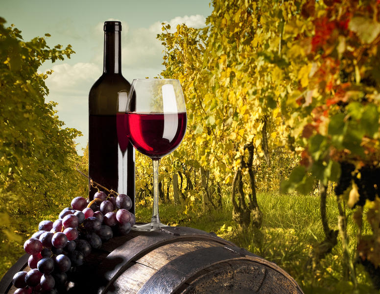 Самое первое вино. Armenia Wine винодельня. Цимлянские вина винодельня. Винодельни Тосканы. Вина виноградные натуральные.