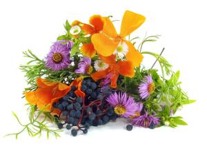 Растительная радуга в саду. Как цвет воздействует на человека?