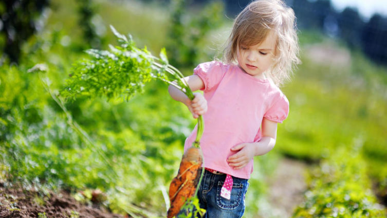 Как вырастить экологически чистые овощи?