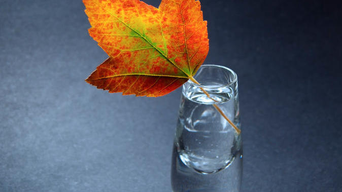 Как избавиться от депрессии?