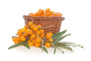 Где используется облепиха?