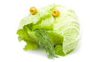 Надо ли делать выводы? Сатирические умозаключения