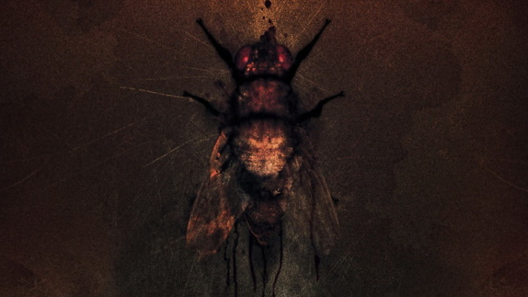 Постер (фрагмент) к к/ф «Затащи меня в Ад», 2009 г.