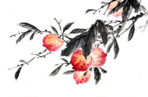 Что подарить любимым? Конечно, пионы!