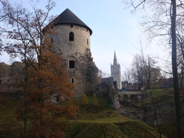 Венденский замок