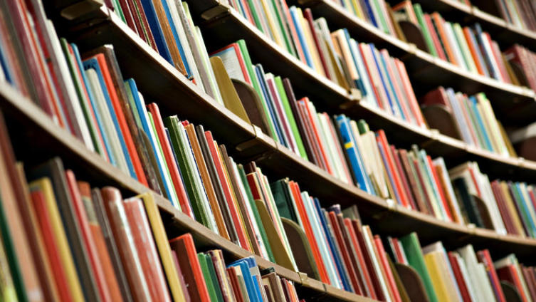 Новые слова: от окказионализма до неологизма — один шаг?