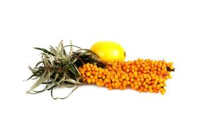 Март-обманщик, или Как встречать весну?