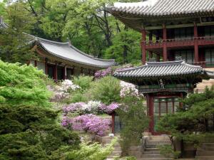 Фестиваль в Южной Корее, или Куда приходит весна?