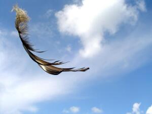 А как называется ваше путешествие?