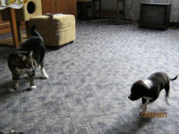 Так мы познакомились