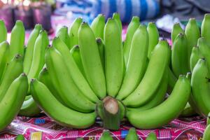 Мелкие зеленые бананы. Чем они полезны?