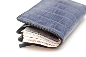 Может ли налогоплательщик влиять на демократические процессы в обществе?