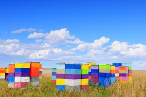 Может ли мед стать вредным?