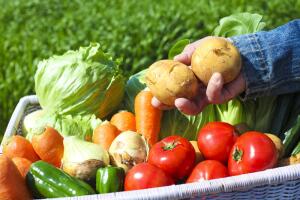 Как сохранить овощи зимой?
