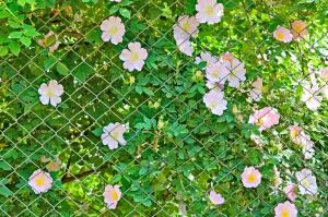 Зачем нужен ручной садовый шнековый бур?