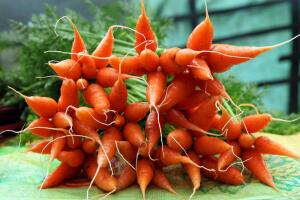 За что морковь считают несравненной, или Как познакомить детей с миром овощей?