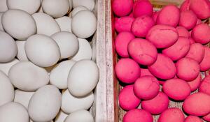 Яйца в перьях, яйца девственника, яйца железные,  яйца красные и столетние. Что это такое и с чем это едят?