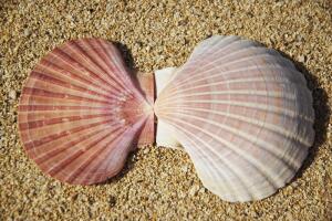 «Мы выбираем, нас выбирают. Как это часто не совпадает?»