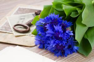 Портрет с открытки. С. М. Лукомская. Кто она? Часть 2