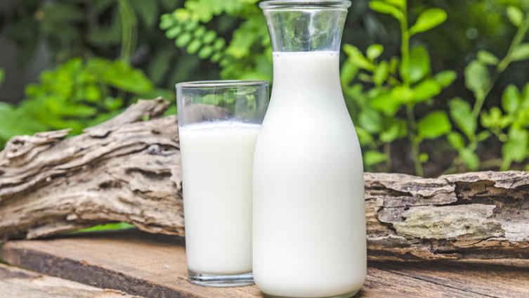 В чем польза молока для здоровья, красоты и приготовления пищи?