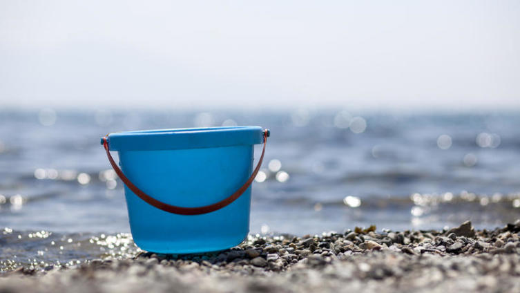 Как поймать рыбу лопатой? 