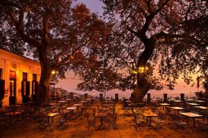Почему туристы осенью предпочитают отдыхать в Греции?