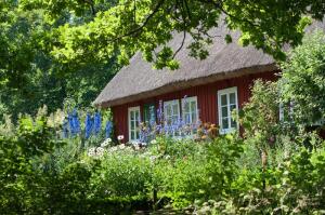 Что можно делать из камыша?